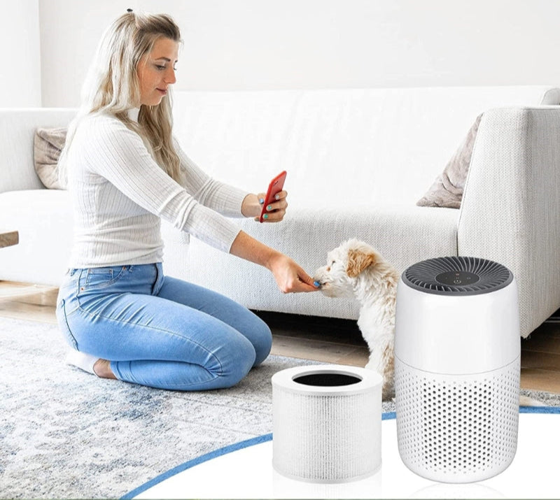 HEPA Air Purifier Filter